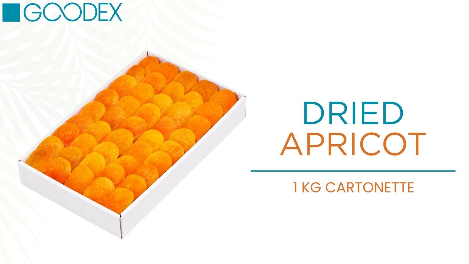 Dried Apricot — variety 1