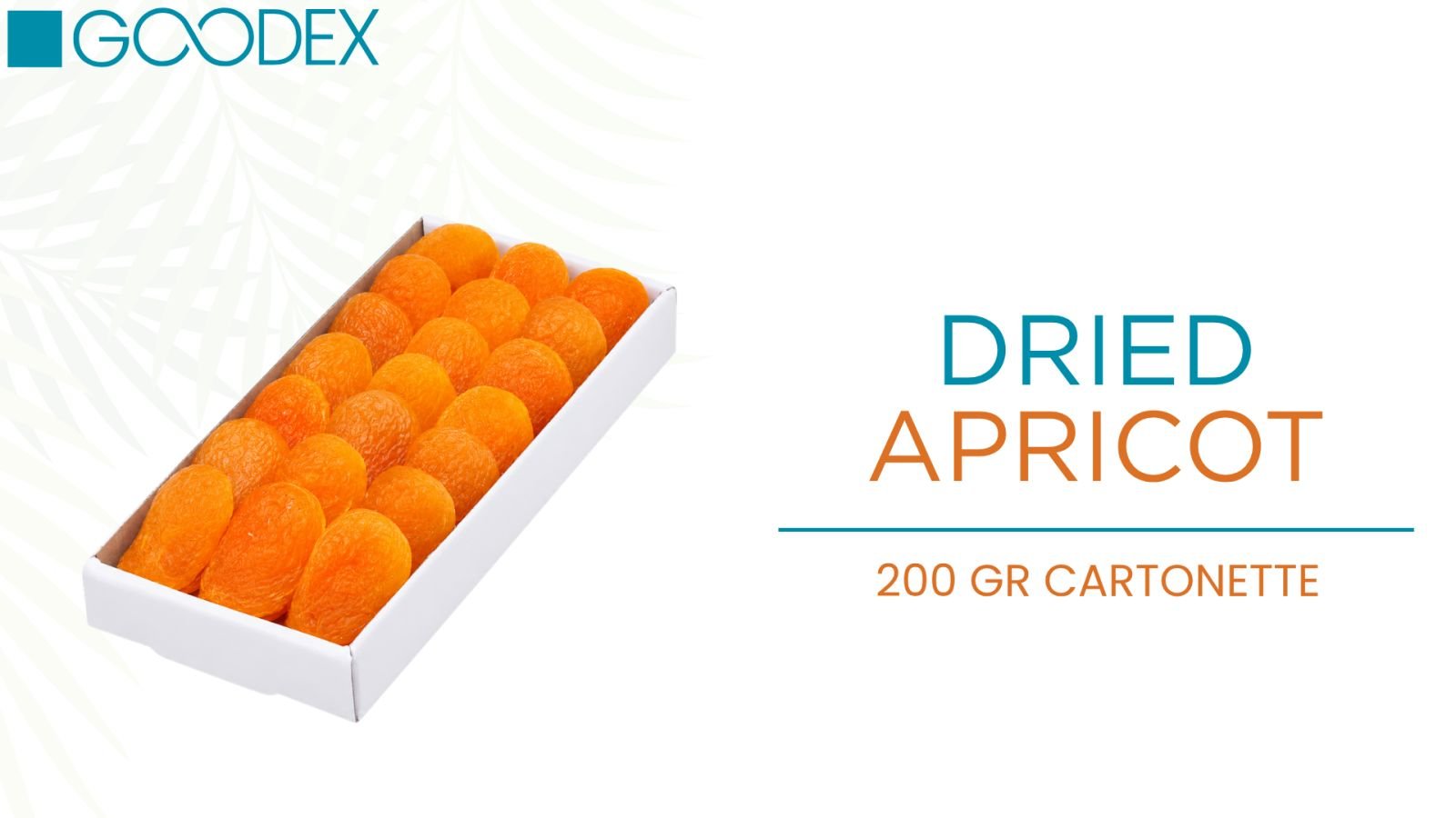 Dried Apricot — variety 3