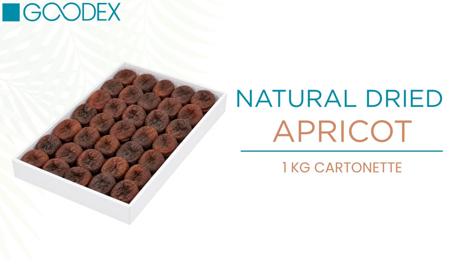 Natural Dried Apricot — variety 1