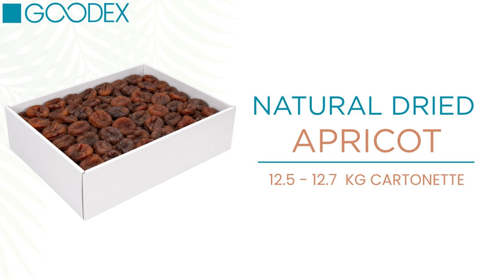 Natural Dried Apricot — variety 2
