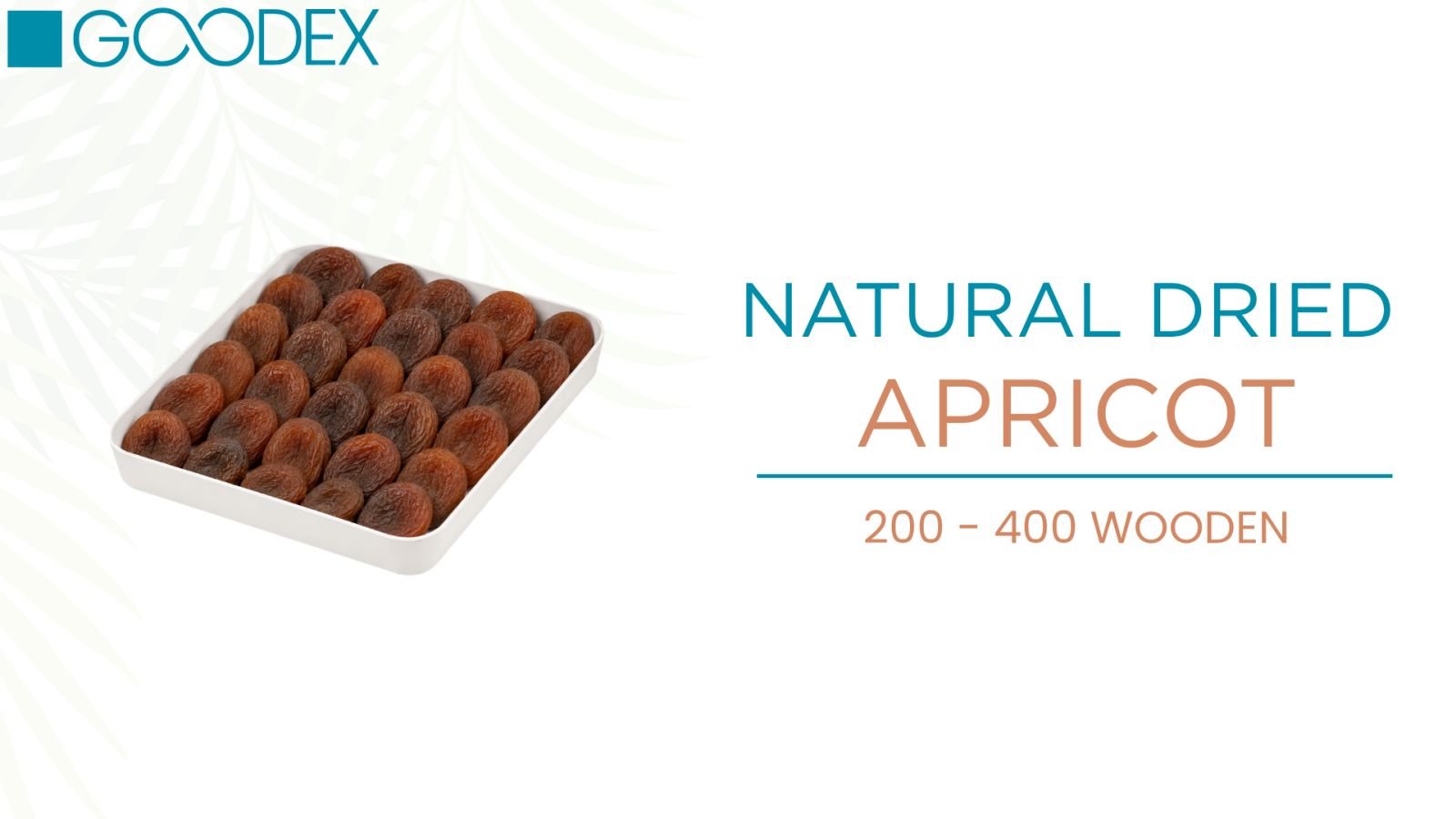 Natural Dried Apricot — variety 3