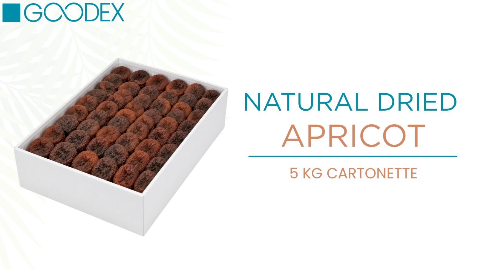 Natural Dried Apricot — variety 6